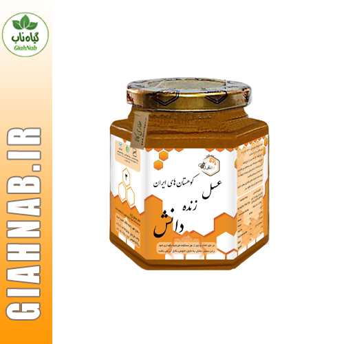 عسل نیم کیلویی دانش