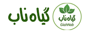 لوگوی اصلی وب سایت