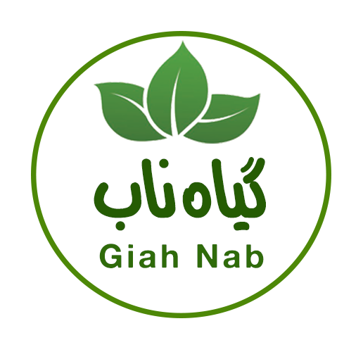 لوگوی اصلی وب سایت