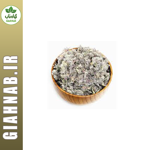 چای کوهی احیاء سلامت