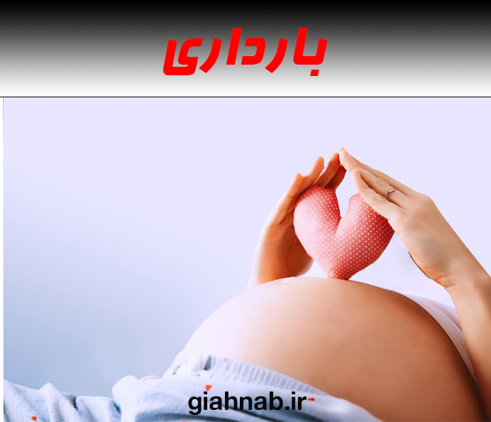 بارداری
