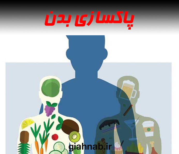 پاکسازی بدن