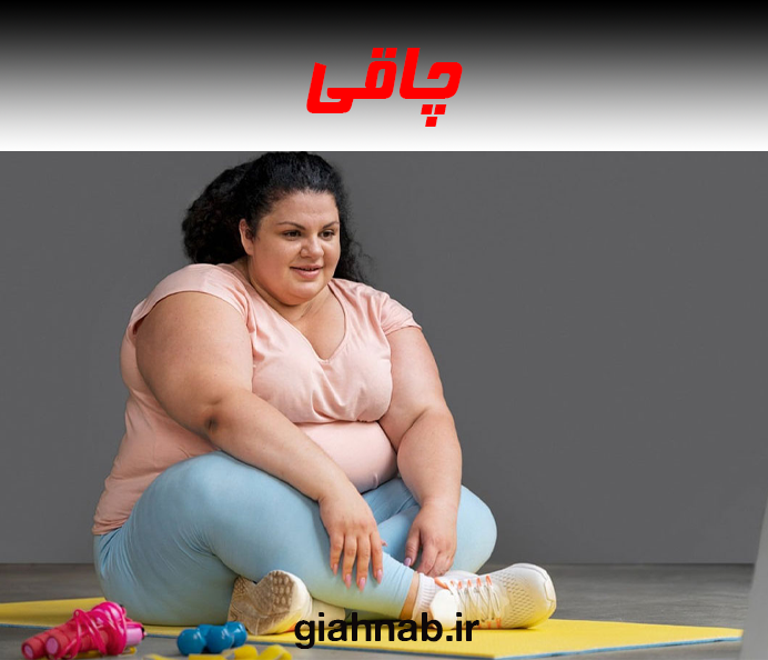 چاقی