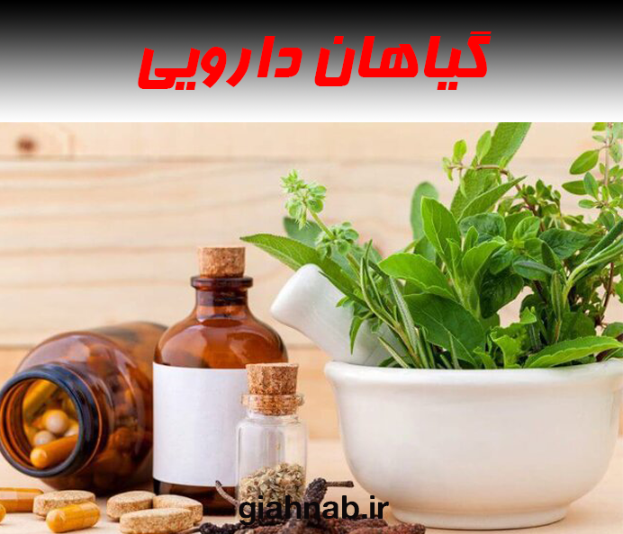 عوارض و تداخلات گیاهان دارویی