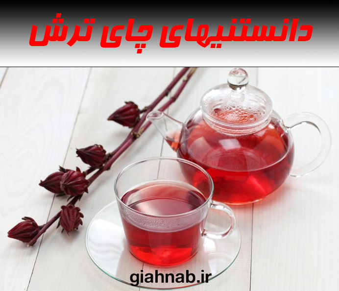 دانستنیهای چای ترش