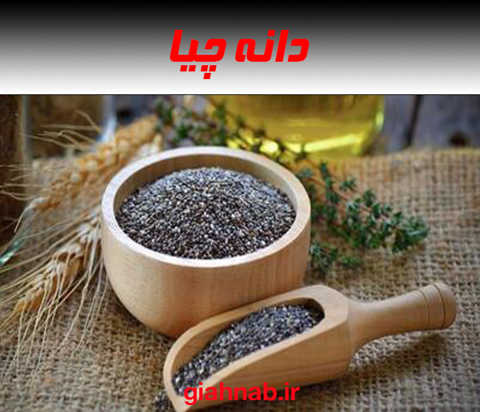 دانه چیا