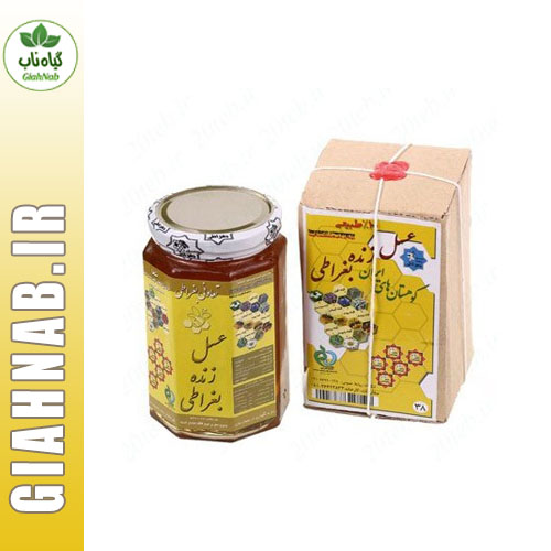 عسل 5 ستاره بغراطی (کارتن 6 عددی)